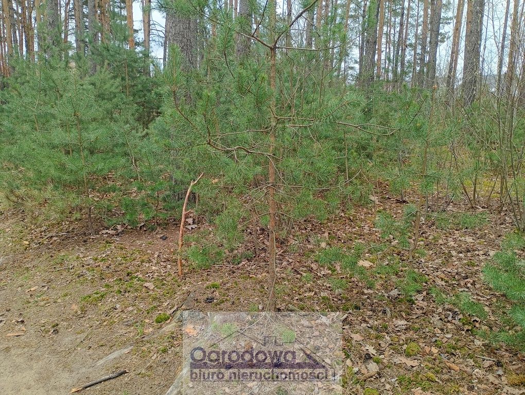 Działka budowlana Wilcza Góra. Zdjęcie 2