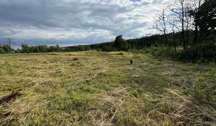 Działka budowlana Mysłowice Wesoła, ul. 3 Maja
