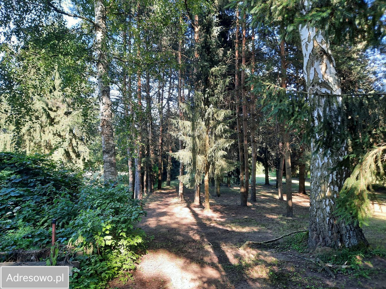 Działka budowlana Bydgoszcz Smukała Dolna. Zdjęcie 2