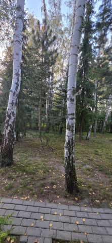 Działka rod Grochowa, ul. Zbigniewa Pawlaka. Zdjęcie 24