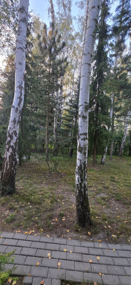 Działka rod Grochowa, ul. Zbigniewa Pawlaka. Zdjęcie 24