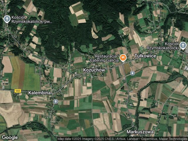 Działka leśna Kożuchów Góra. Zdjęcie 1