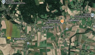 Działka leśna Kożuchów Góra