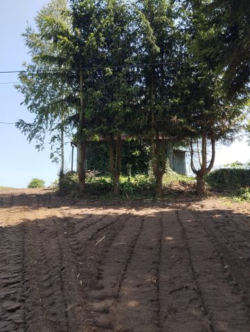 Działka rolno-budowlana Majdan Moniacki. Zdjęcie 1