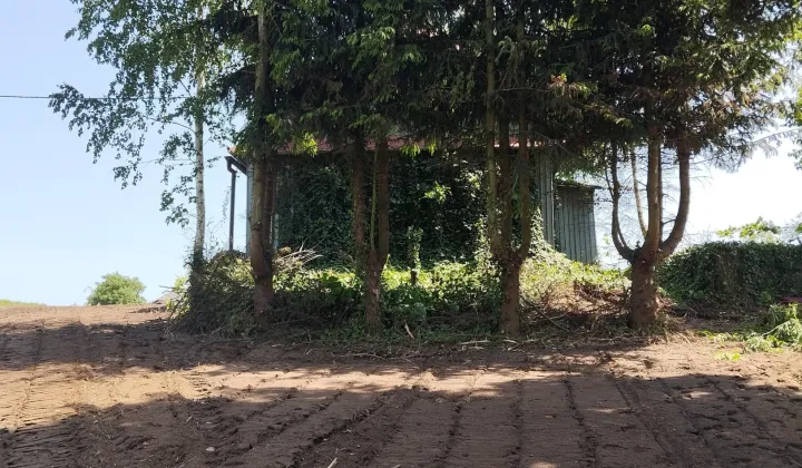 Działka rolno-budowlana Majdan Moniacki