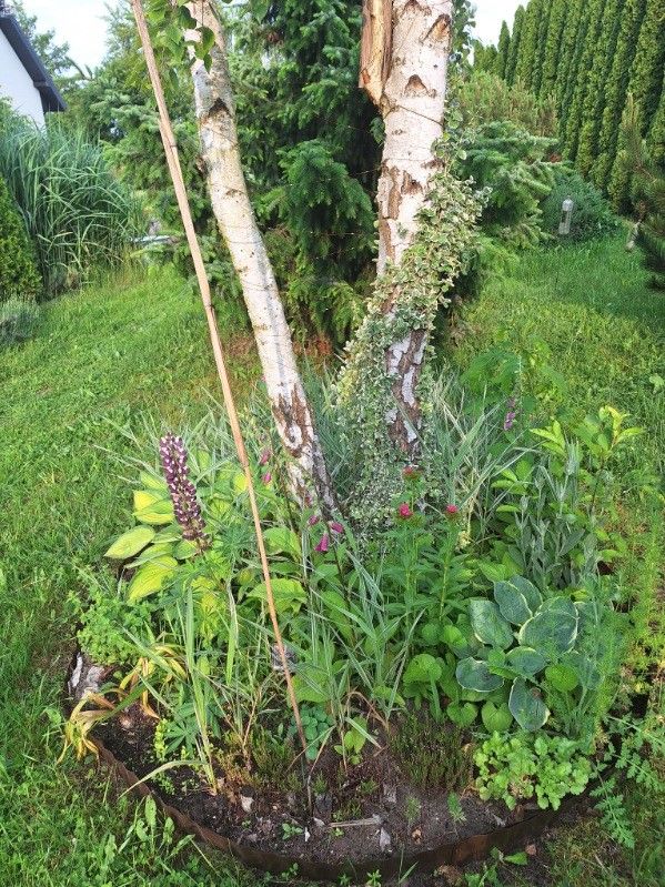 Działka rod Władysławów. Zdjęcie 12