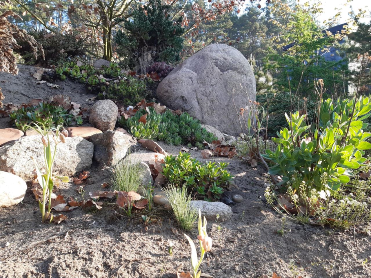 Działka budowlana Podbiel Krupińskie, Sosnowa. Zdjęcie 33