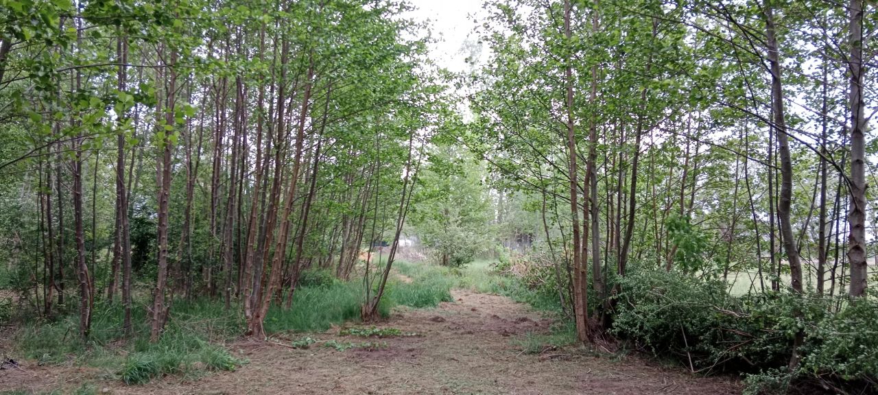 Działka budowlana Basin. Zdjęcie 3