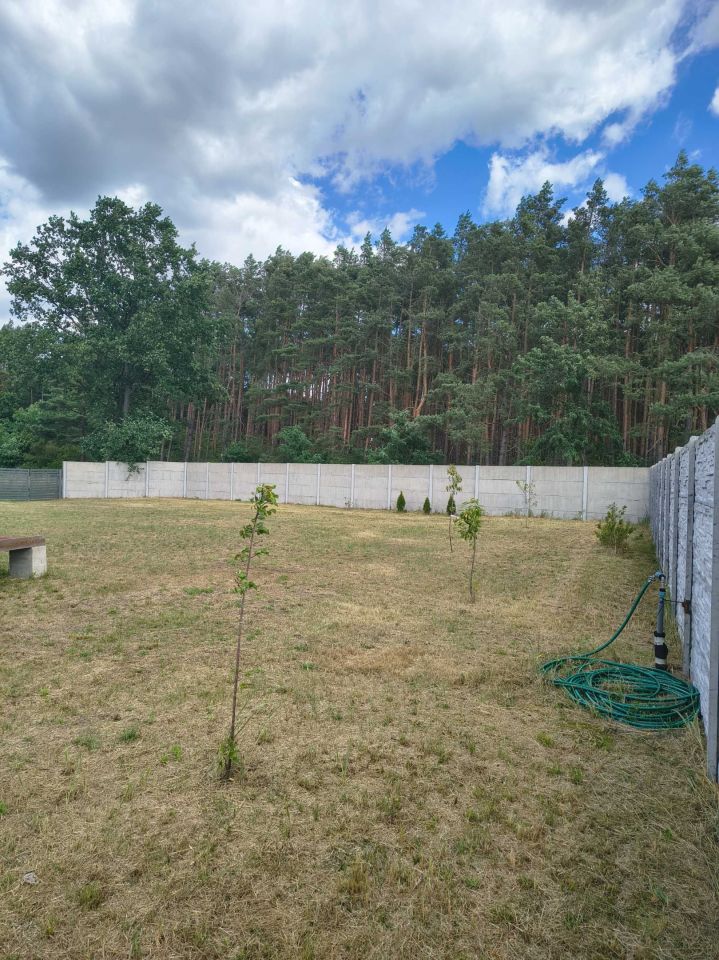 Działka budowlana Murzynowo. Zdjęcie 4