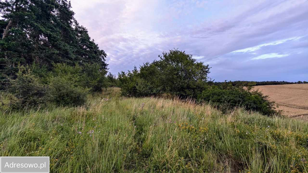 Działka budowlana Nowe Miasto Lubawskie Kornatki. Zdjęcie 3