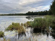 Działka rolno-budowlana Talki. Zdjęcie 2