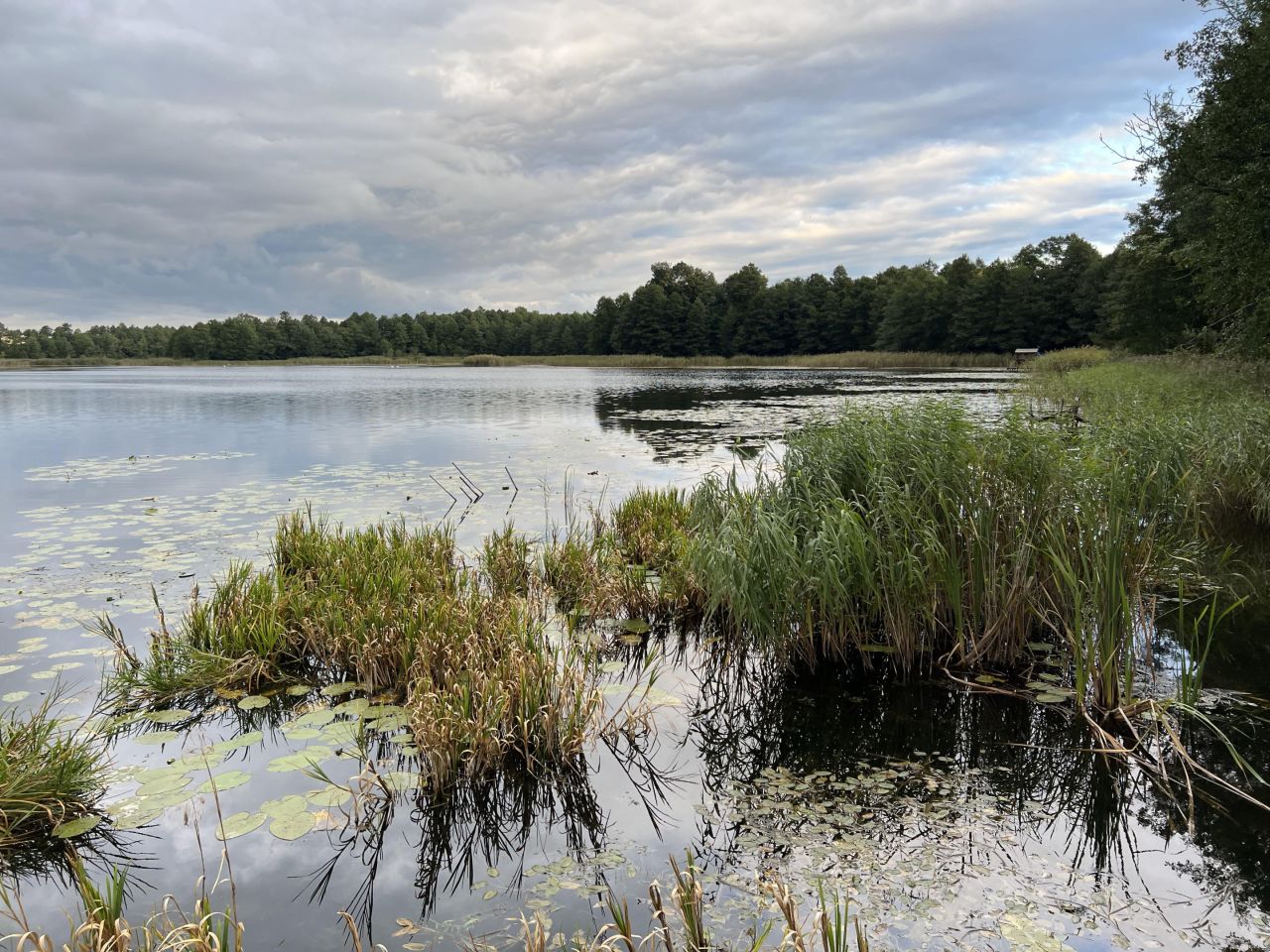 Działka rolno-budowlana Talki. Zdjęcie 3