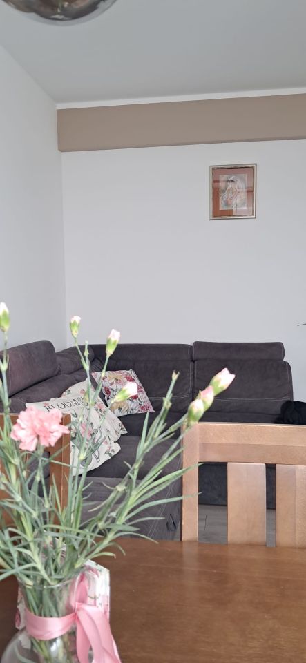 Mieszkanie 3-pokojowe Mogilno. Zdjęcie 23