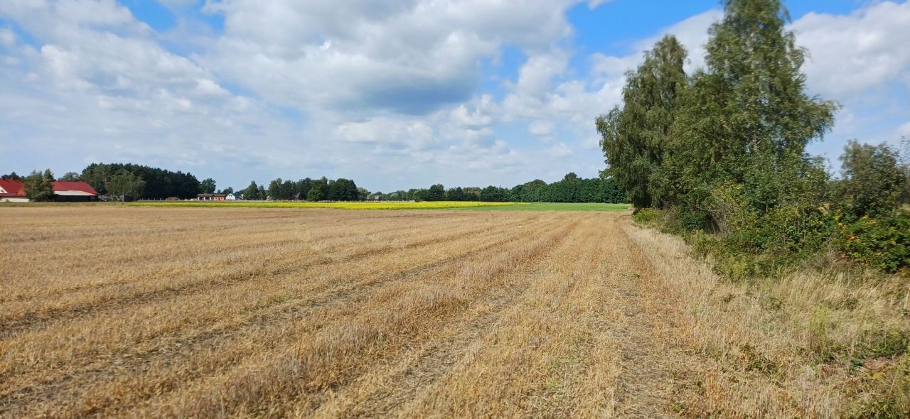 Działka budowlana Szklarka Myślniewska. Zdjęcie 4