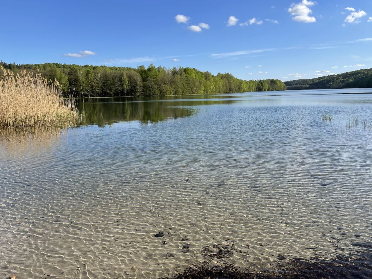 Działka budowlana Klonowo Dolne, ul. Głęboka. Zdjęcie 5
