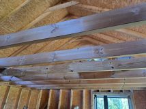 Działka rod Kościan, ul. Łąkowa. Zdjęcie 3