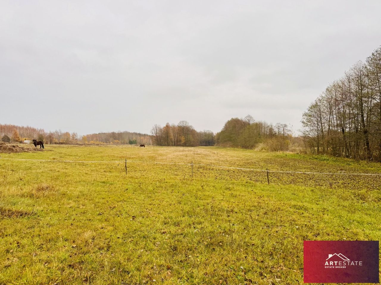 Działka rekreacyjna Nowy Adamów. Zdjęcie 8