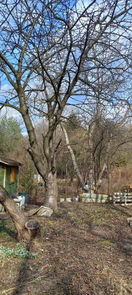 Działka rod Warszawa Mokotów, ul. Piaskarzy. Zdjęcie 5