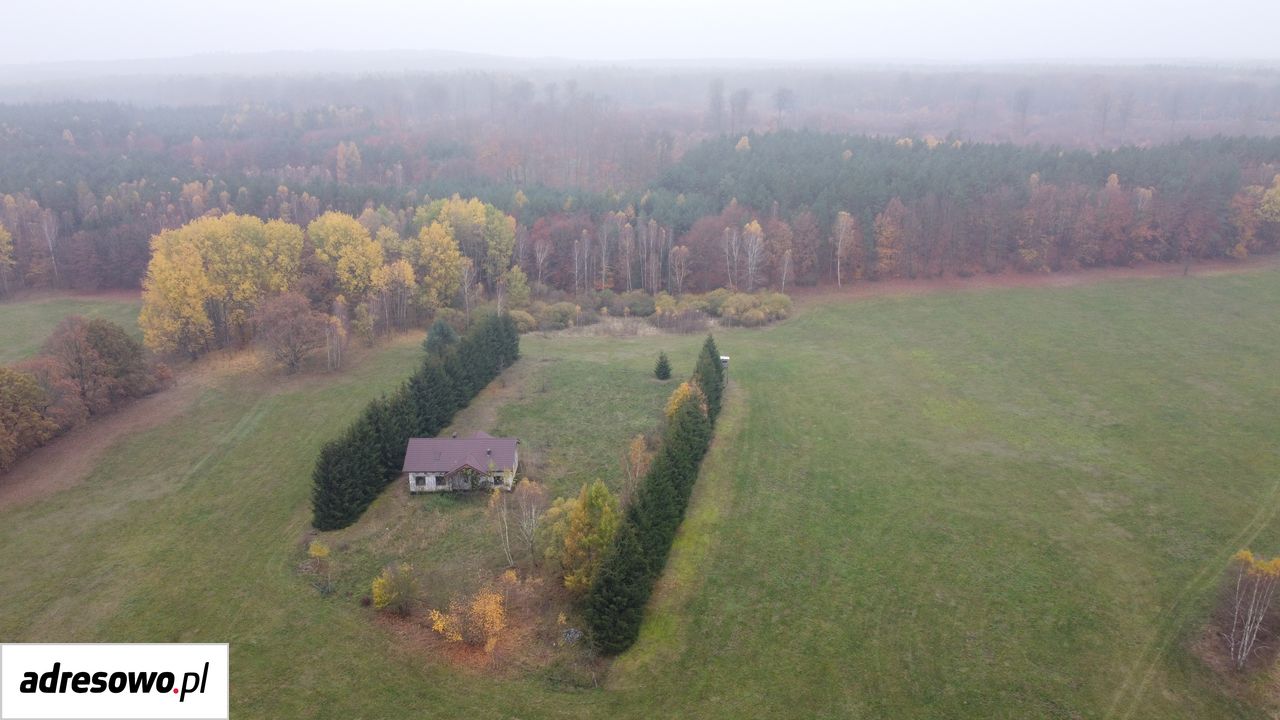 Działka budowlana Mosina. Zdjęcie 2