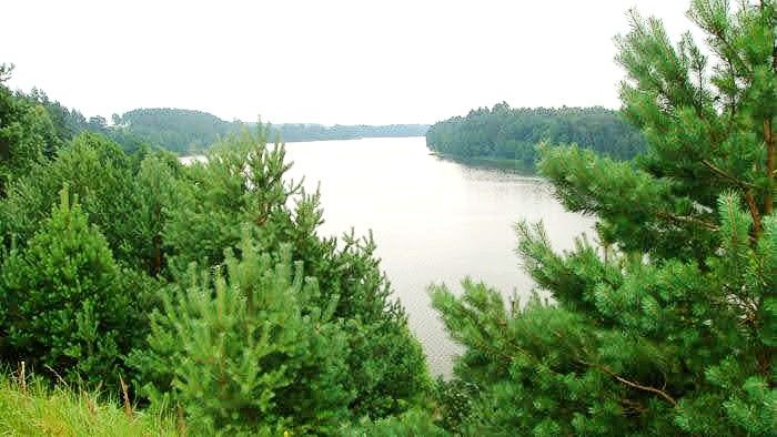 Działka rolna Rabalina. Zdjęcie 3