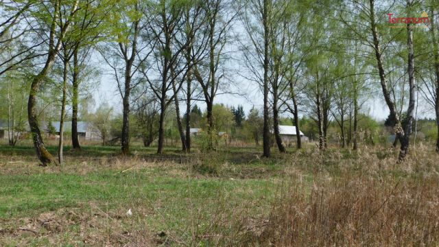 Działka budowlana Chojnów, ul. Graniczka. Zdjęcie 3