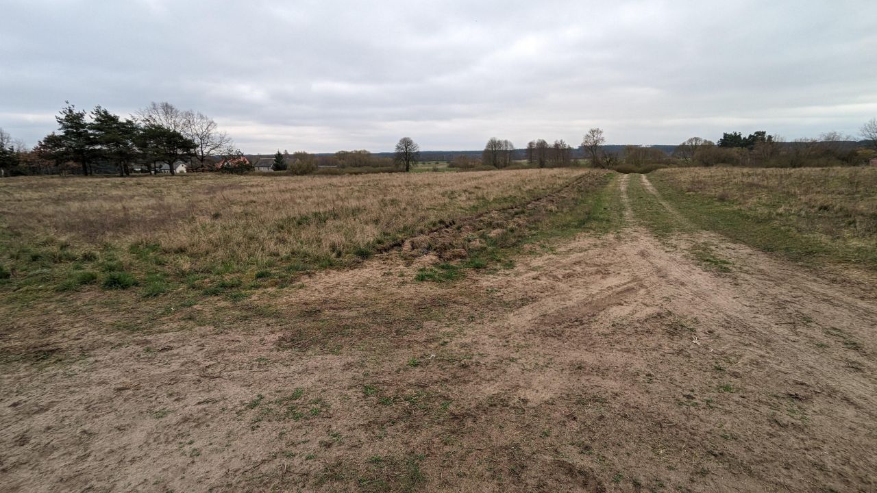 Działka budowlana Sipiory Czterdziestka, ul. Czterdziestka. Zdjęcie 2