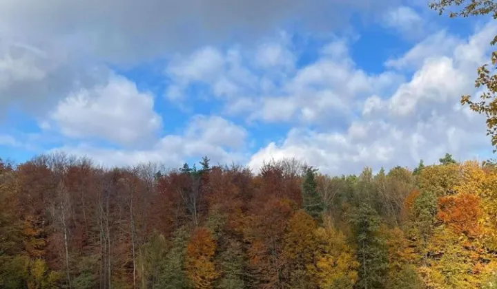 Działka siedliskowa Zagorzyce