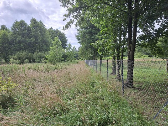 Działka rolno-budowlana Karolewo. Zdjęcie 7