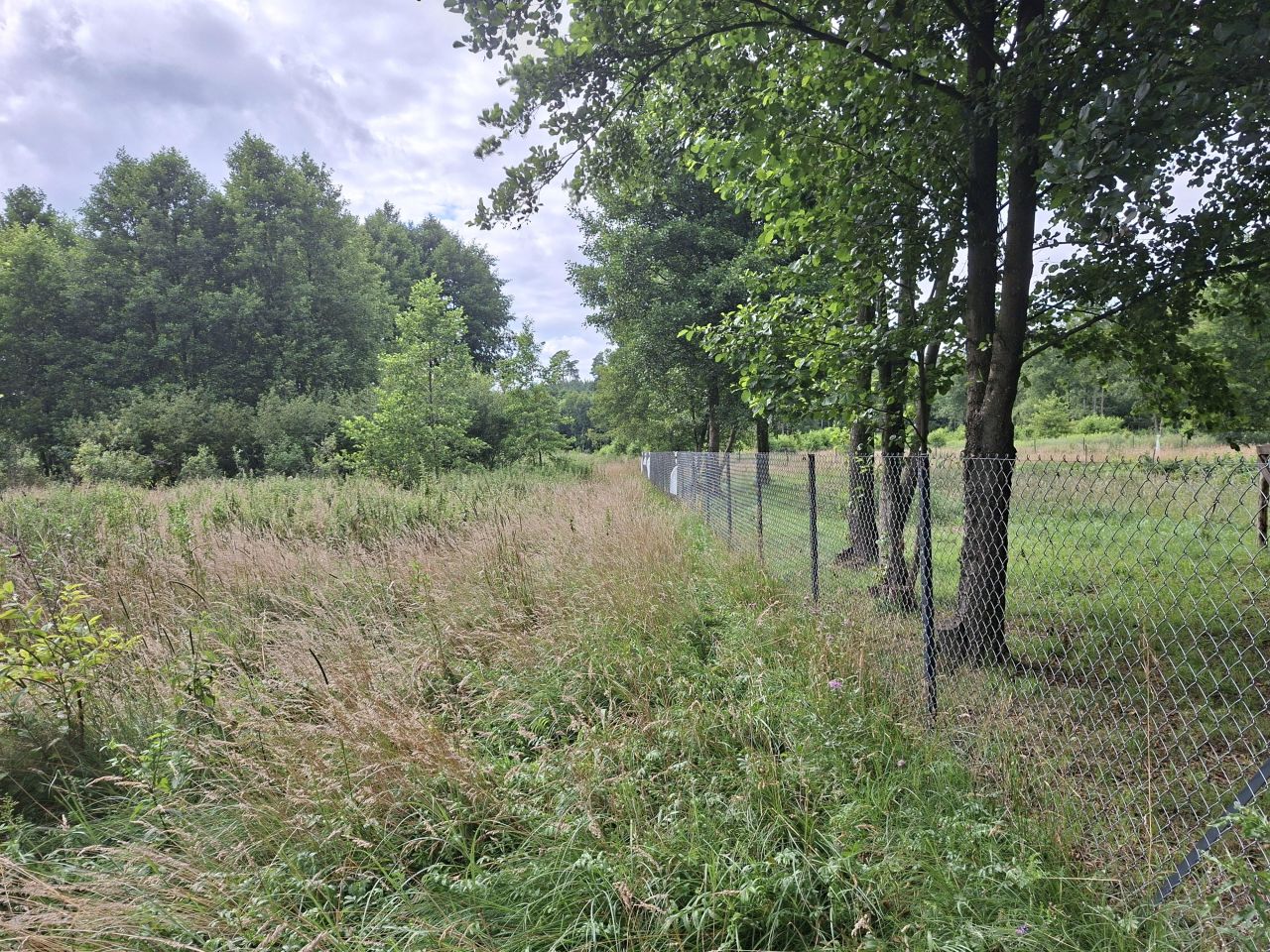 Działka rolno-budowlana Karolewo. Zdjęcie 7