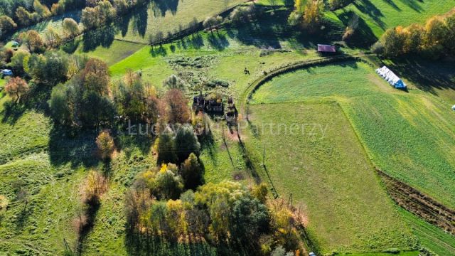 Działka inwestycyjna Czernica. Zdjęcie 1