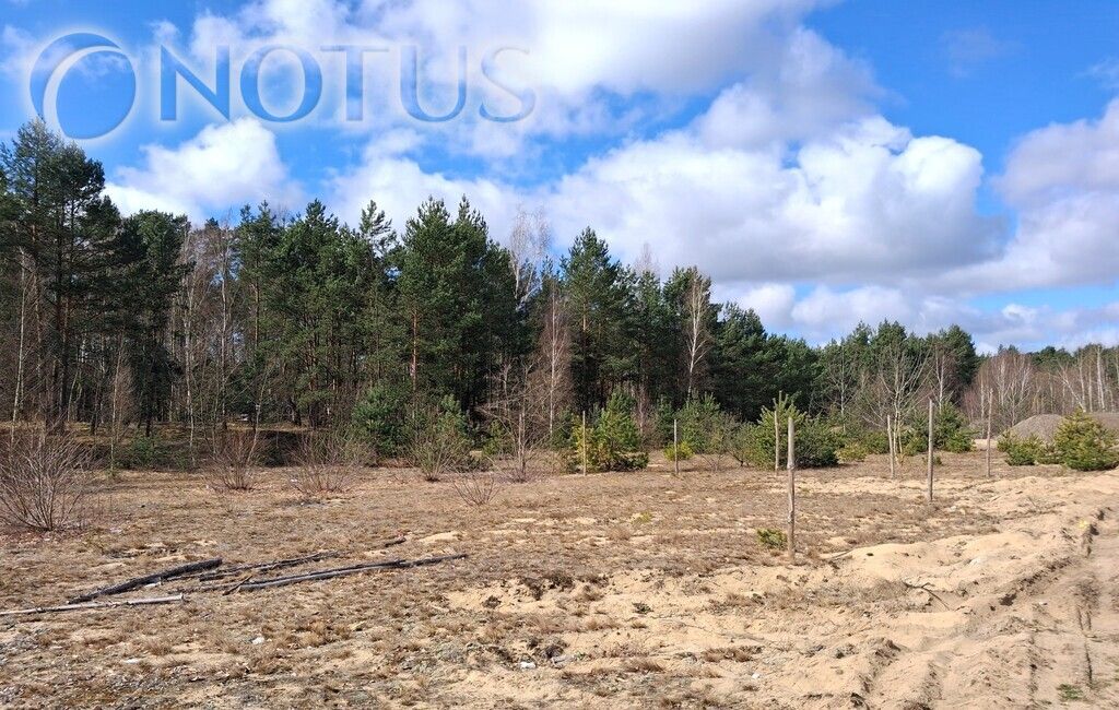 Działka budowlana Czarne Błoto. Zdjęcie 1