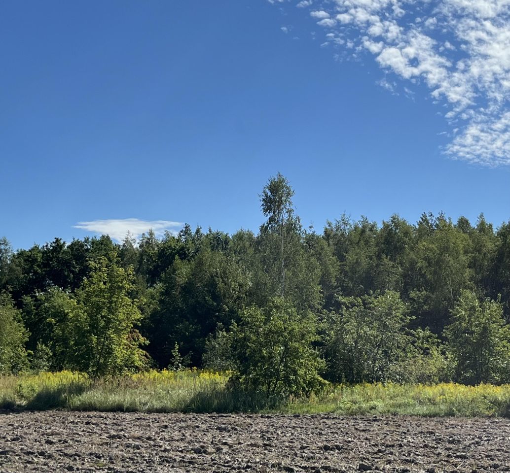 Działka budowlana Bełchów, ul. Polna. Zdjęcie 4