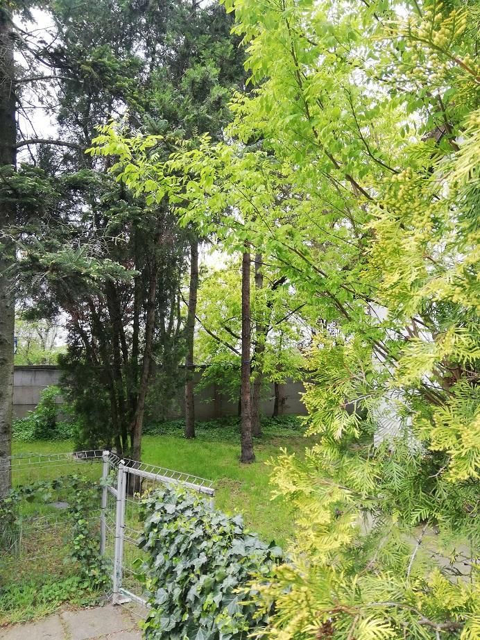 Pokój Poznań Smochowice, ul. Słupska. Zdjęcie 10