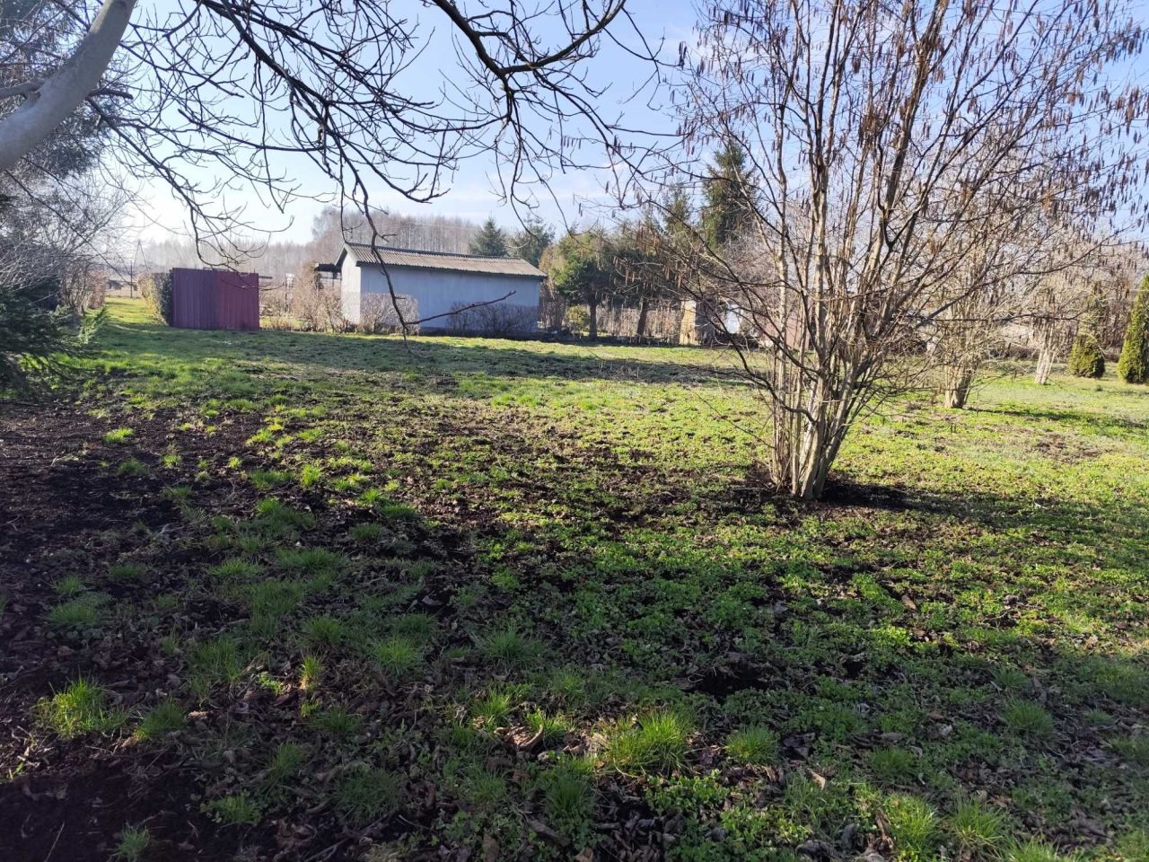 Działka rod Opoczno. Zdjęcie 6