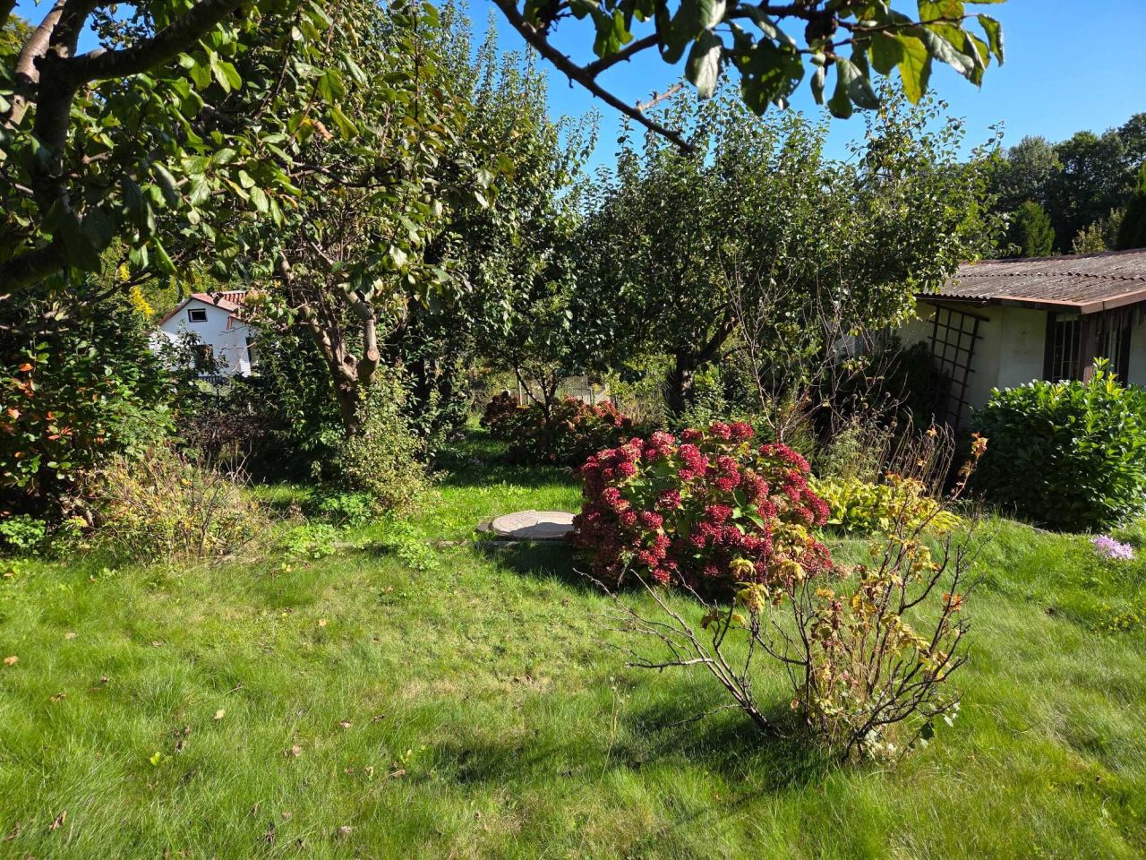 Działka rod Gdynia Mały Kack. Zdjęcie 4