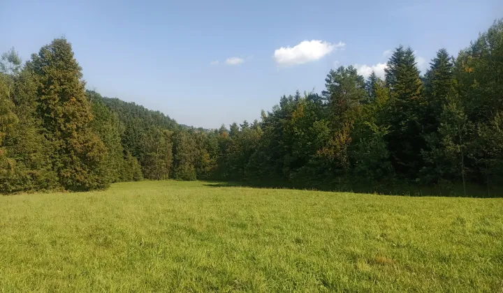 Działka rolna Piekiełko