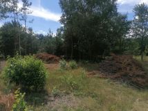 Działka budowlana Klwatka Królewska Figielów. Zdjęcie 4