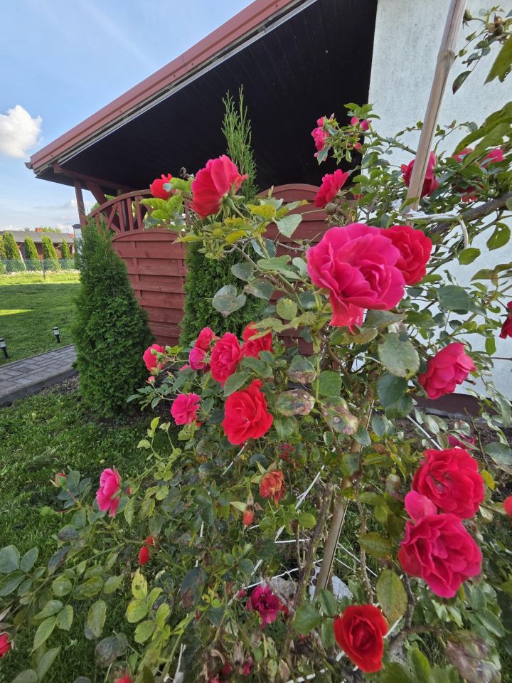 Działka rod Żnin, ul. Szkolna. Zdjęcie 16