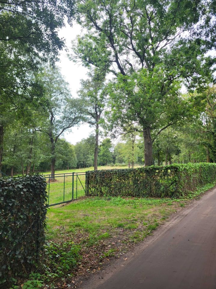 Działka budowlana Nochowo, ul. Brzozowa. Zdjęcie 3