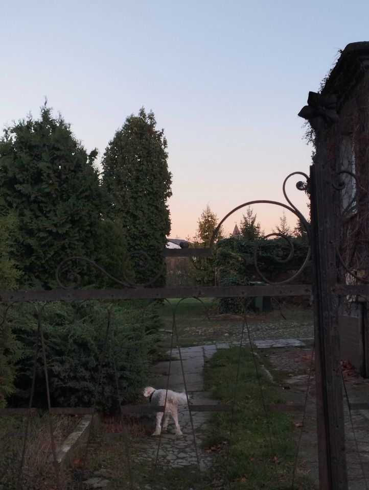 Działka siedliskowa Krotoszyn. Zdjęcie 4