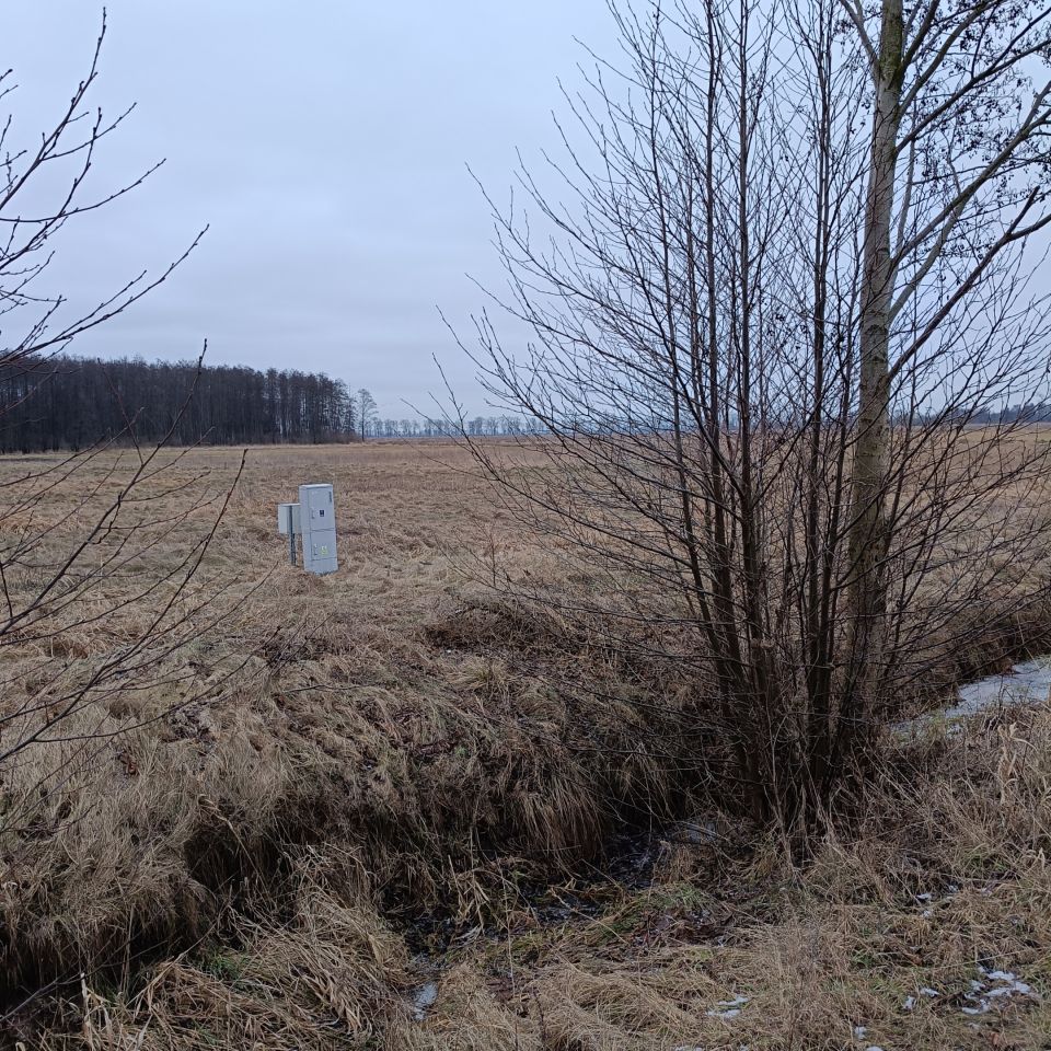 Działka budowlana Kruszyn Krajeński, ul. Olszynowa. Zdjęcie 4