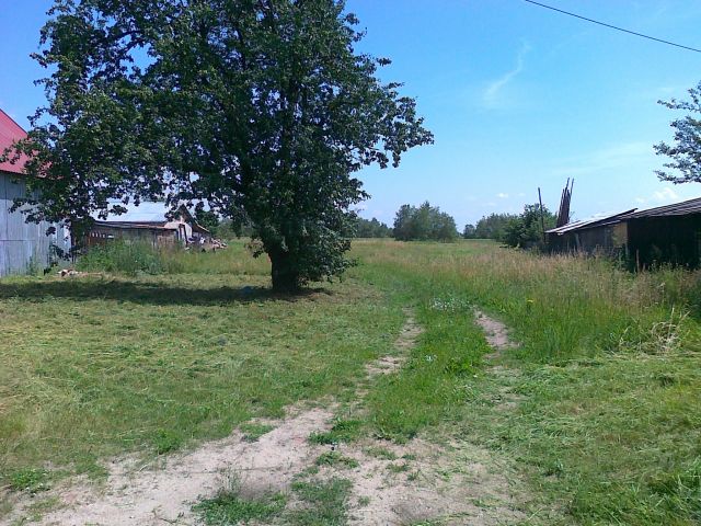 Działka rolno-budowlana Dobrzyń. Zdjęcie 1