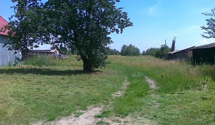 Działka rolno-budowlana Dobrzyń