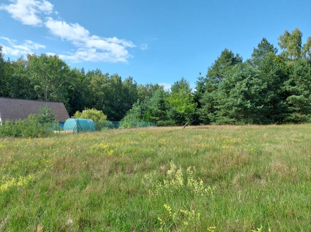 Działka budowlana Warnowo. Zdjęcie 11