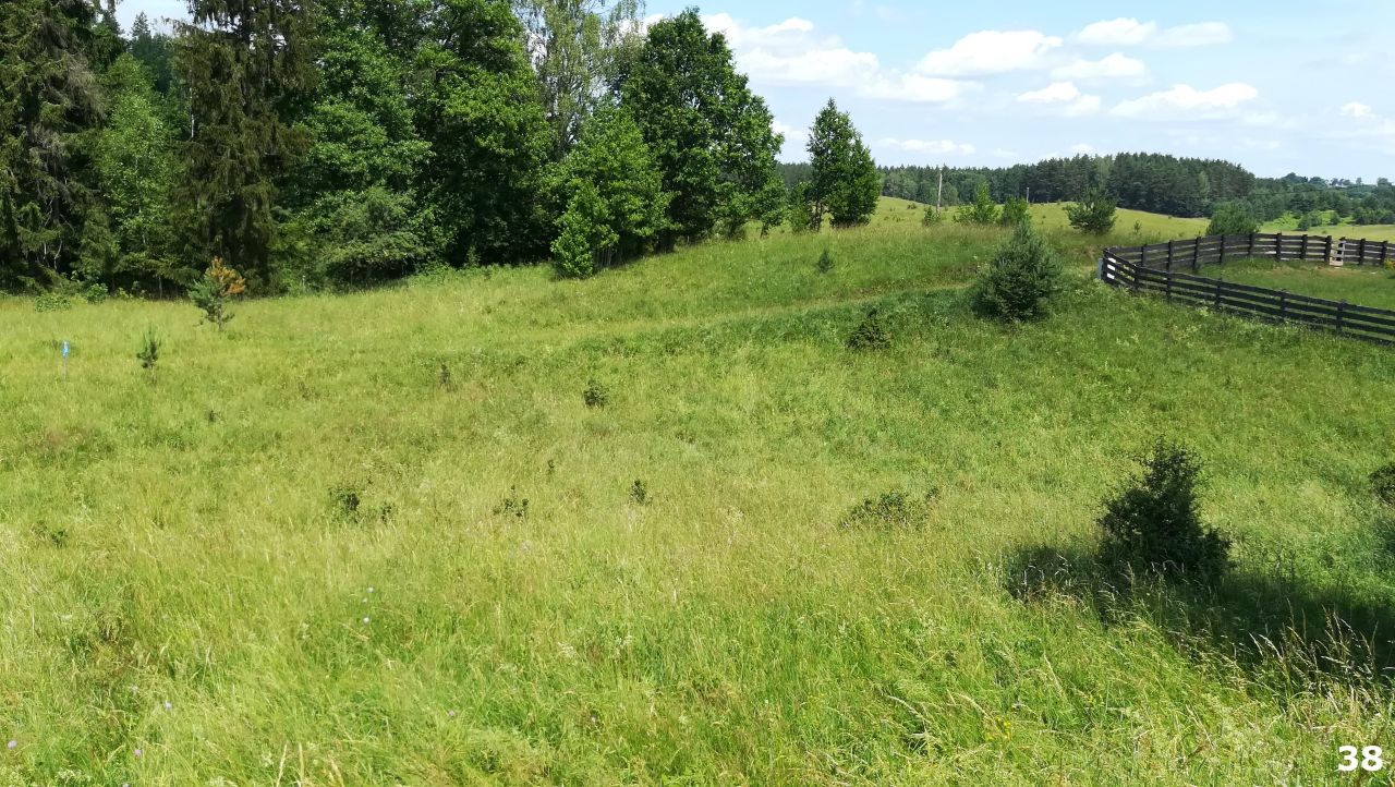 Działka budowlana Kaborno. Zdjęcie 17