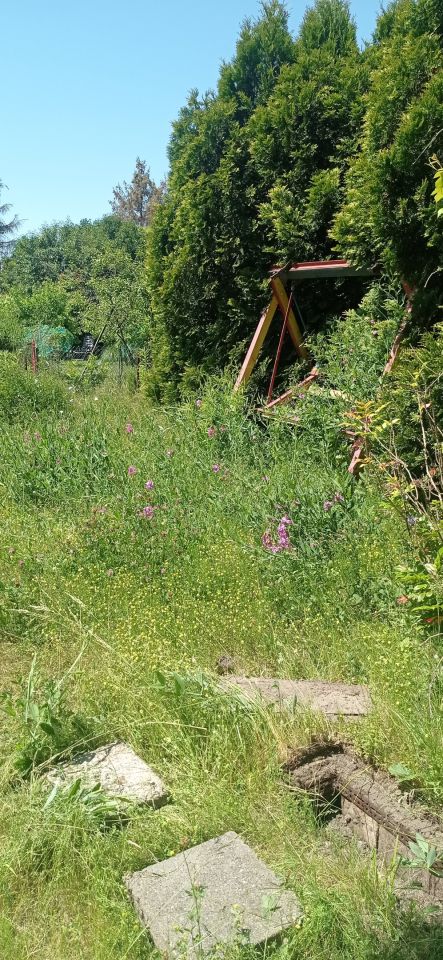 Działka rod Łódź Widzew, ul. Lodowa. Zdjęcie 55