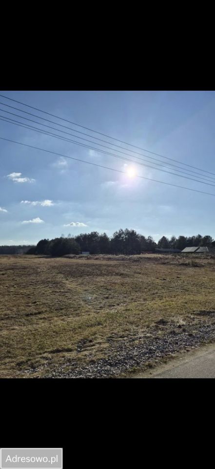 Działka budowlana Prusicko. Zdjęcie 1