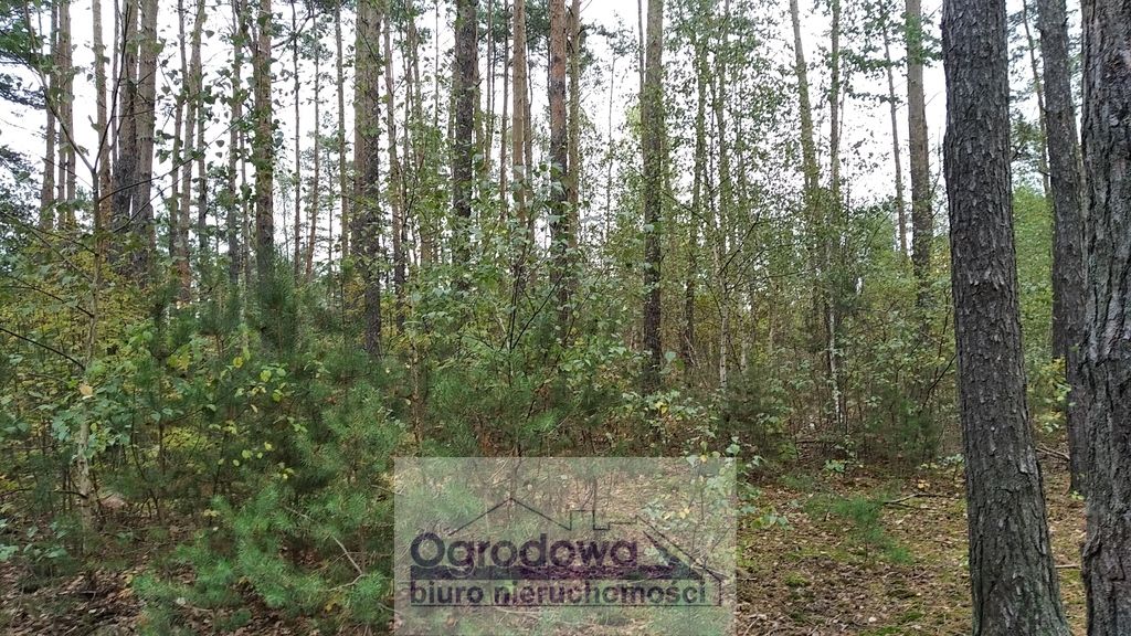 Działka budowlana Wilcza Góra. Zdjęcie 3