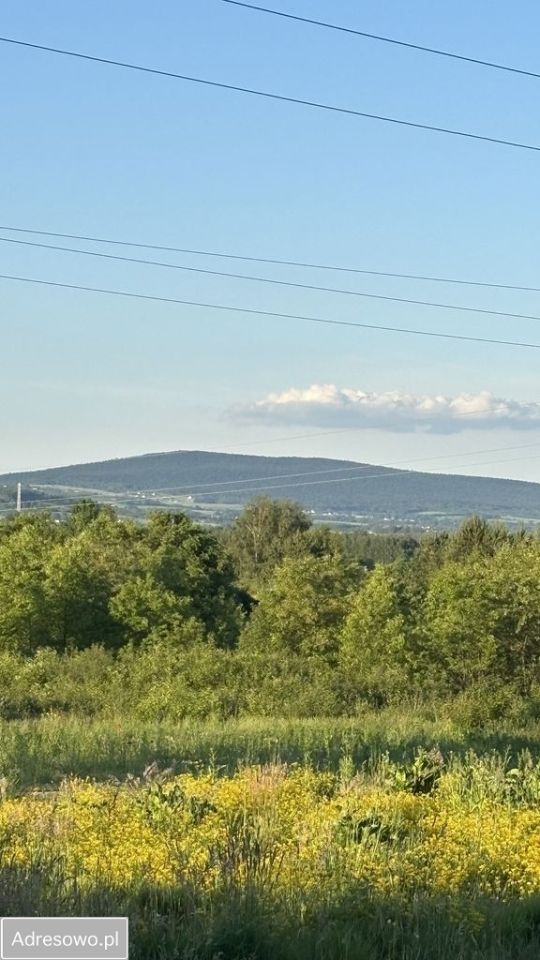 Działka budowlana Radlin. Zdjęcie 3