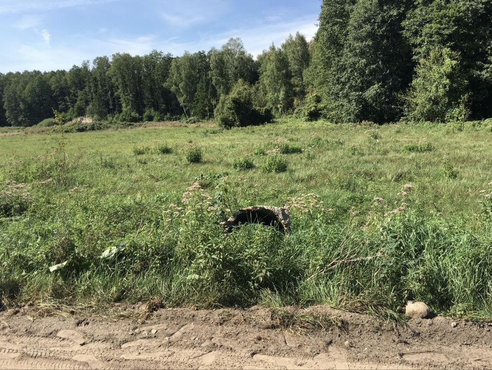 Działka siedliskowa Pasynki. Zdjęcie 3